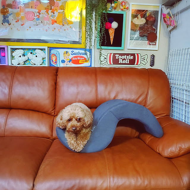 cherrycherryさんの実例写真