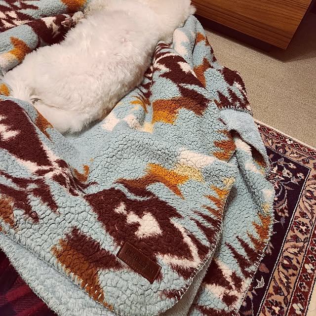 takoさんの実例写真