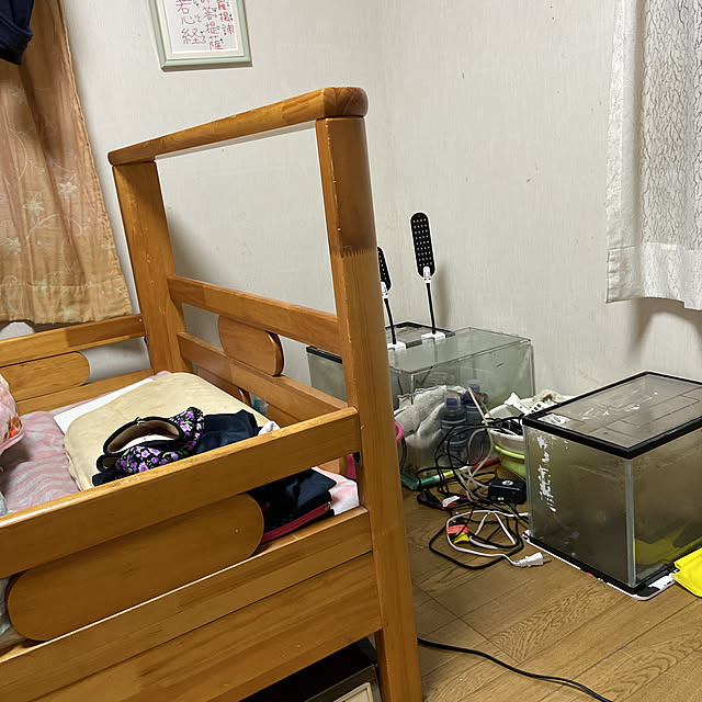 キッチンのインテリア実例 - 2020-03-29 19:35:39