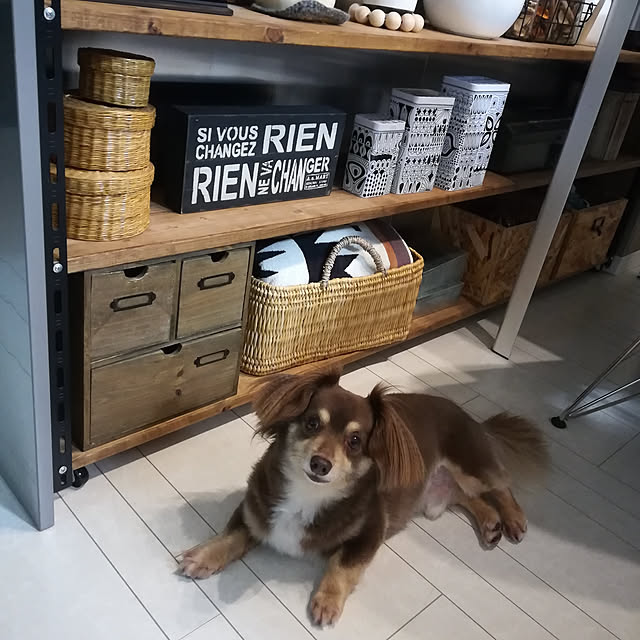 rikakoさんの実例写真