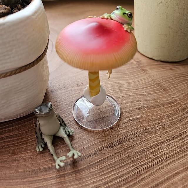 mogmogさんの部屋