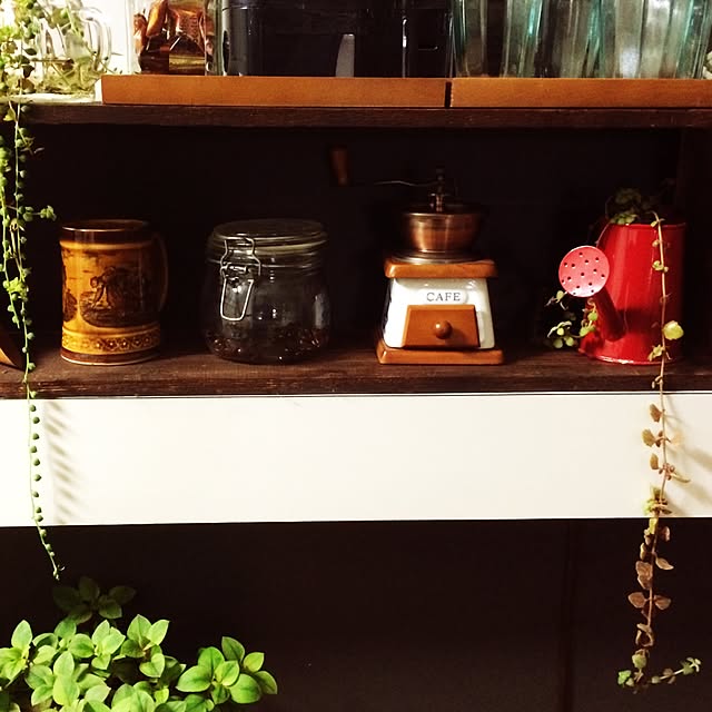 キッチン/100均/植物のインテリア実例 - 2015-02-12 21:15:58