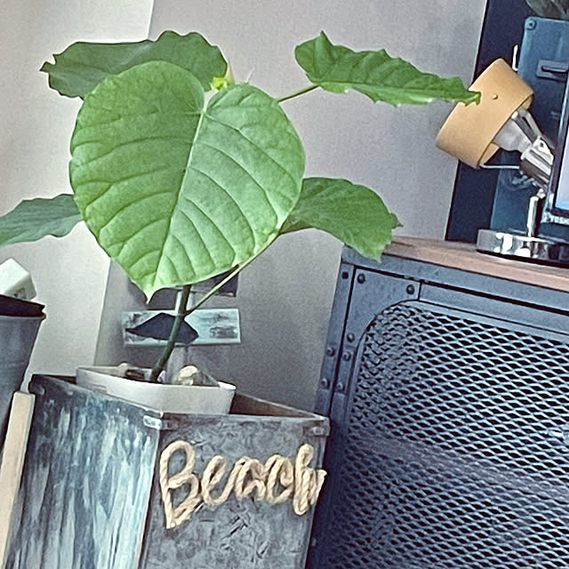 tomoさんの実例写真