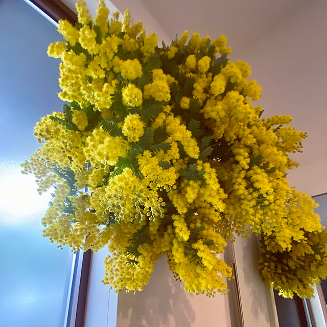 cocochiさんの実例写真