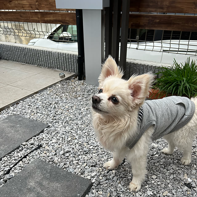 ya-coさんの実例写真