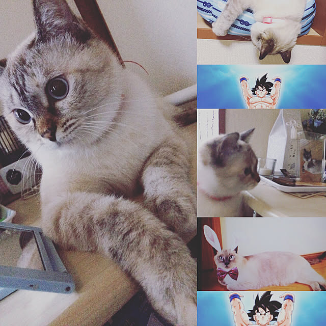 nachuさんの実例写真