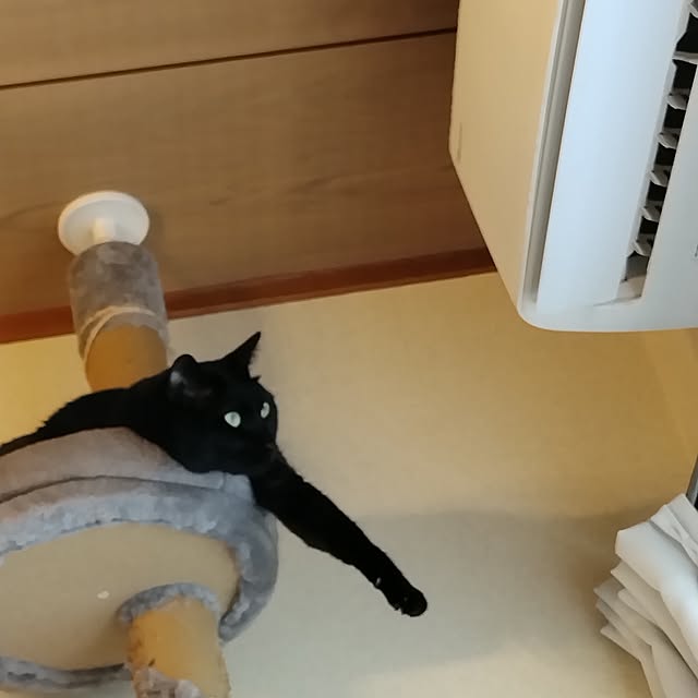 Tさんの実例写真