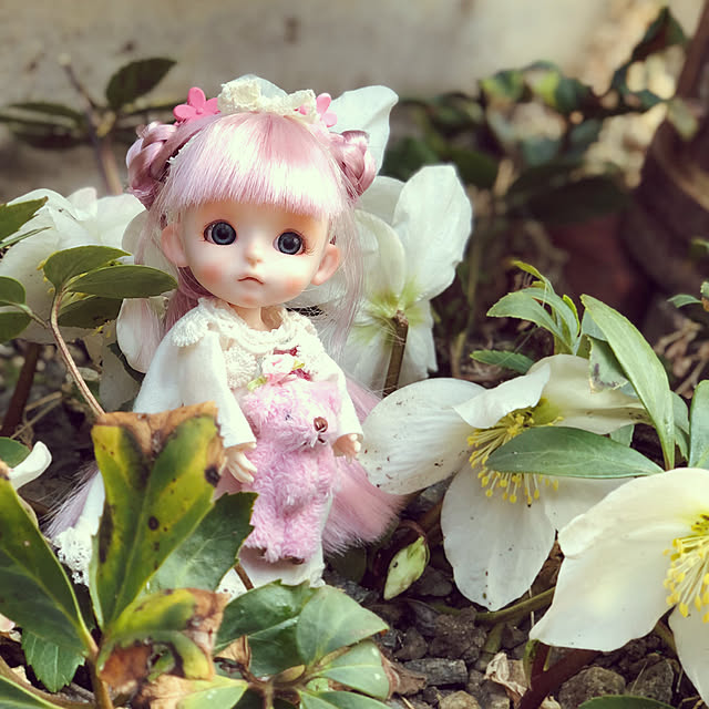 honeyさんの実例写真