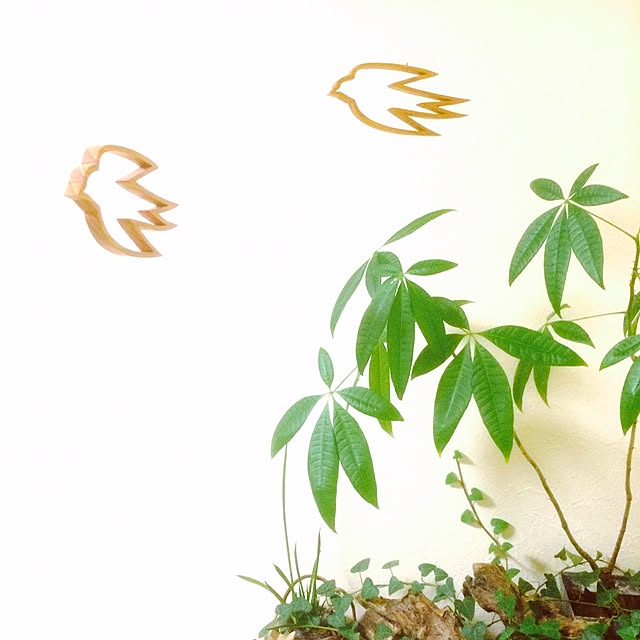 manatomoさんの実例写真