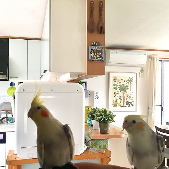 puriyuzuさんの実例写真