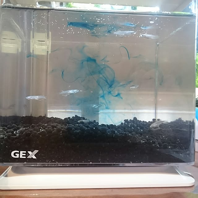 macoさんの実例写真
