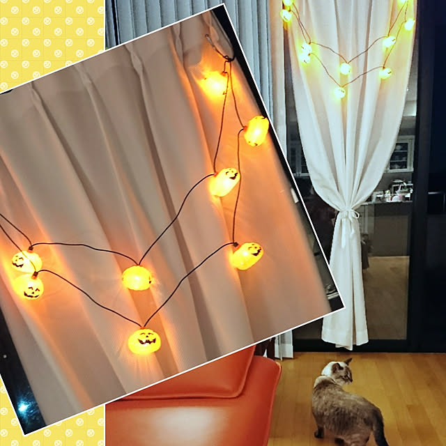 bonobono54さんの実例写真