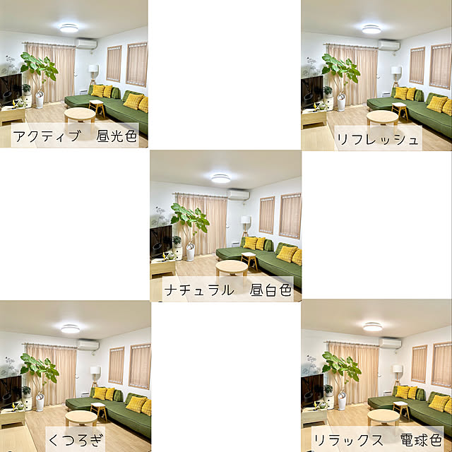 miyuさんの実例写真