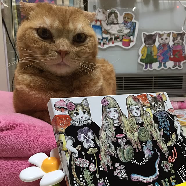action-178さんの実例写真