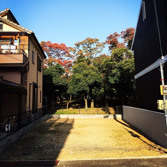 honokaaboyさんの実例写真