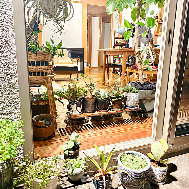 onsix777さんの実例写真