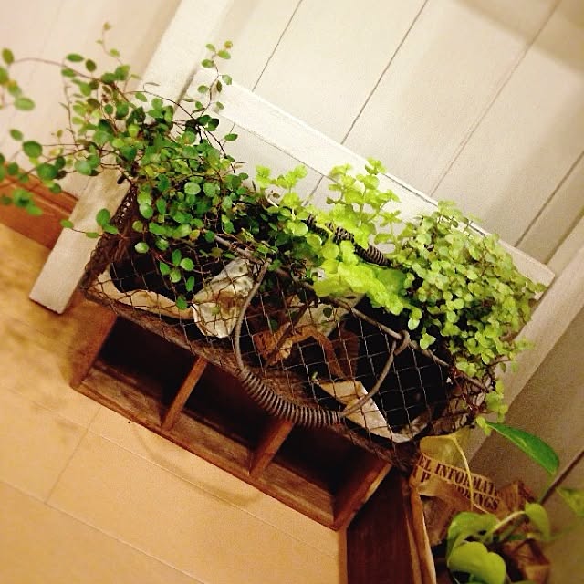 rookuさんの実例写真