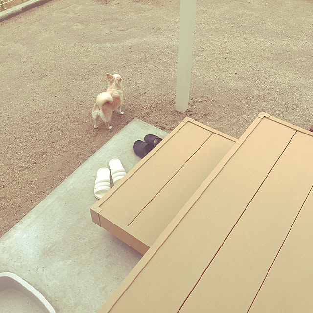 Sweetpeaさんの実例写真