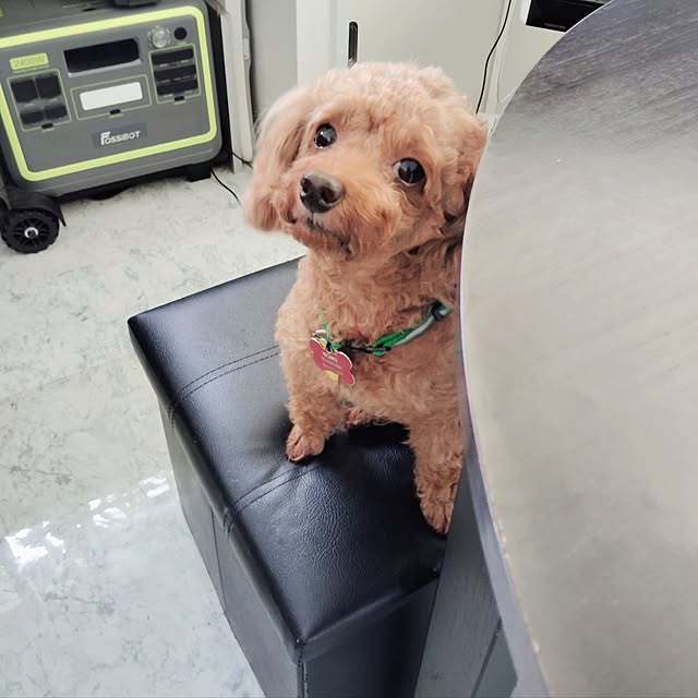 MOMOMAMAさんの部屋