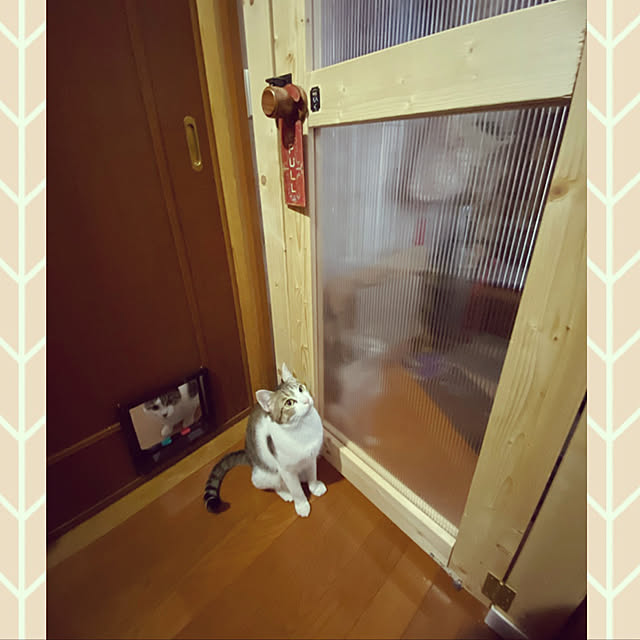 Lufuさんの実例写真