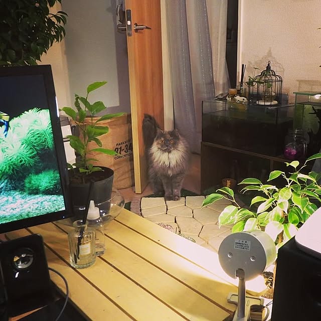 hiroshiさんの実例写真