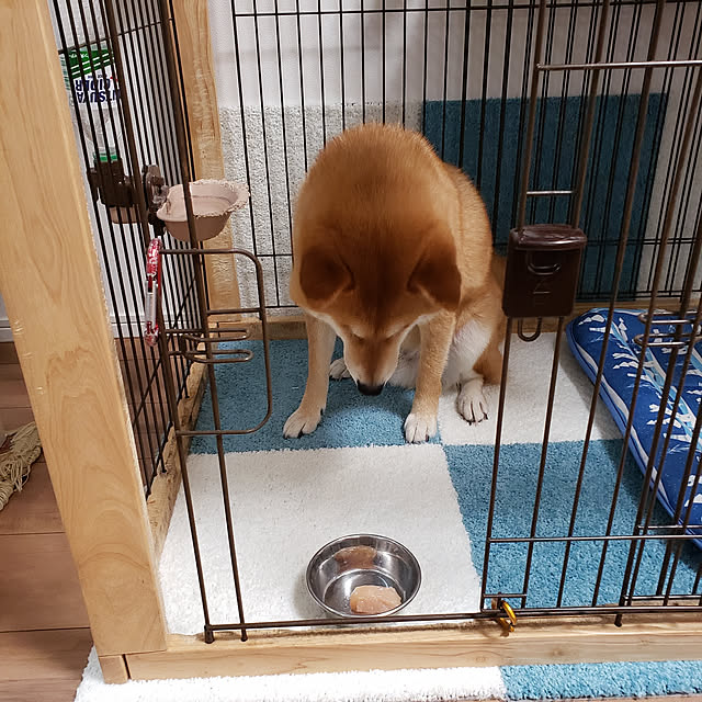 yukiさんの実例写真