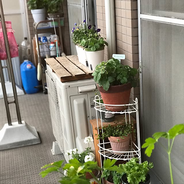michicoさんの実例写真