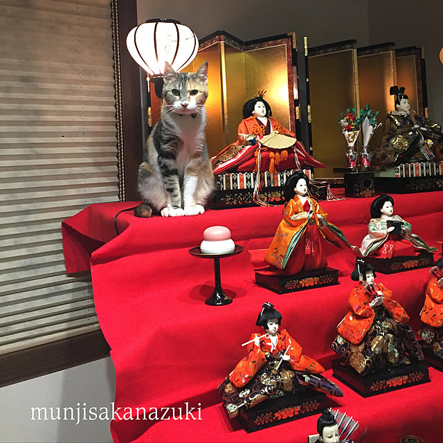 yokopiさんの実例写真