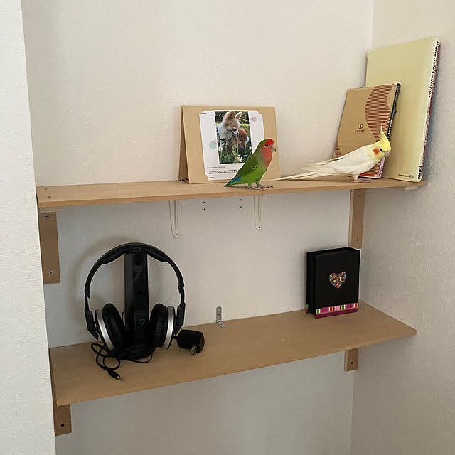 toratanさんの部屋