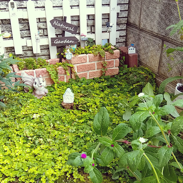 25Moondropsさんの実例写真
