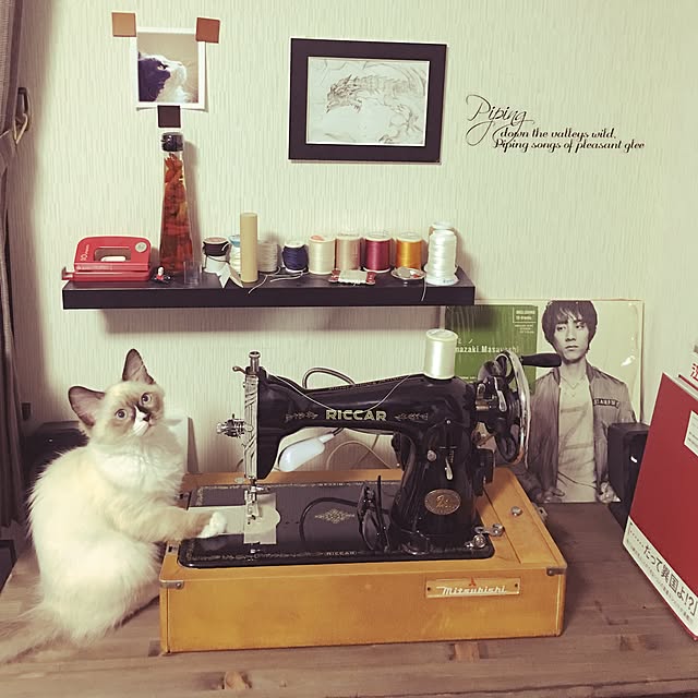 実例写真