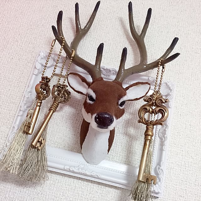 Luさんの実例写真