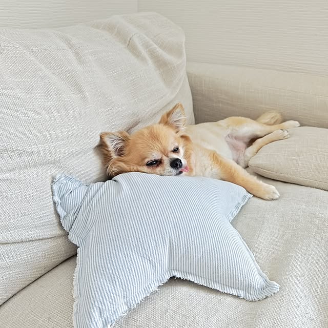 kojikojiさんの実例写真