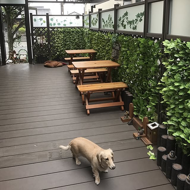 hechanさんの実例写真