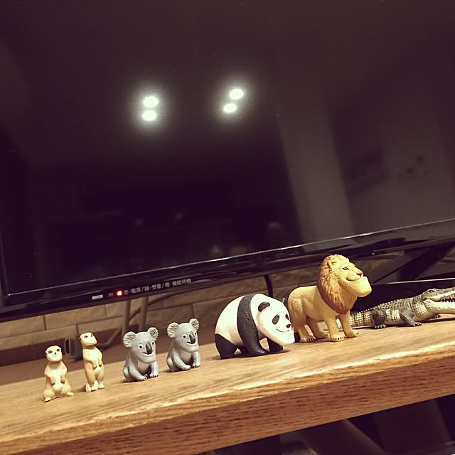 moriさんの実例写真