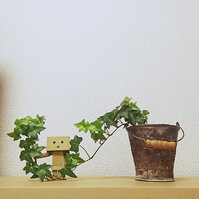 pinotellさんの実例写真
