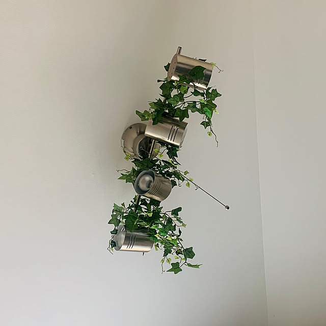 観葉植物/一人暮らし/ニトリ/壁/天井のインテリア実例 - 2019-10-13 09:18:22