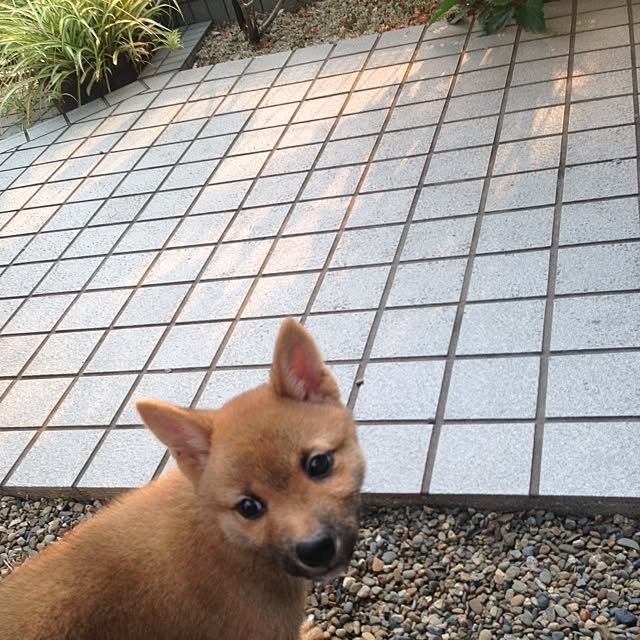 ykkrさんの実例写真