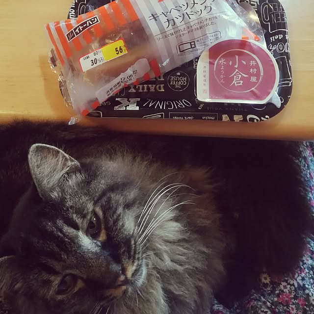 Maki-nekomamireさんの実例写真