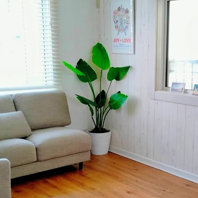 rimixさんの部屋