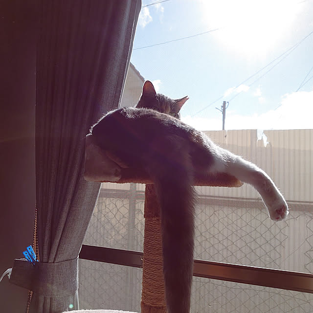 fukuさんの実例写真