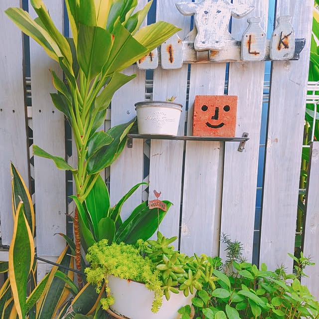 nikoさんの実例写真