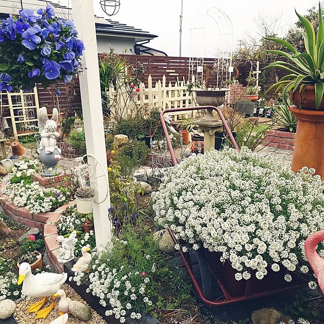 masayoさんの実例写真