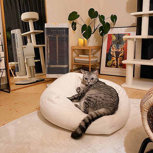 ineko_kさんの実例写真