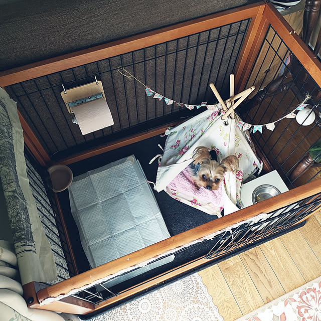 akiさんの実例写真