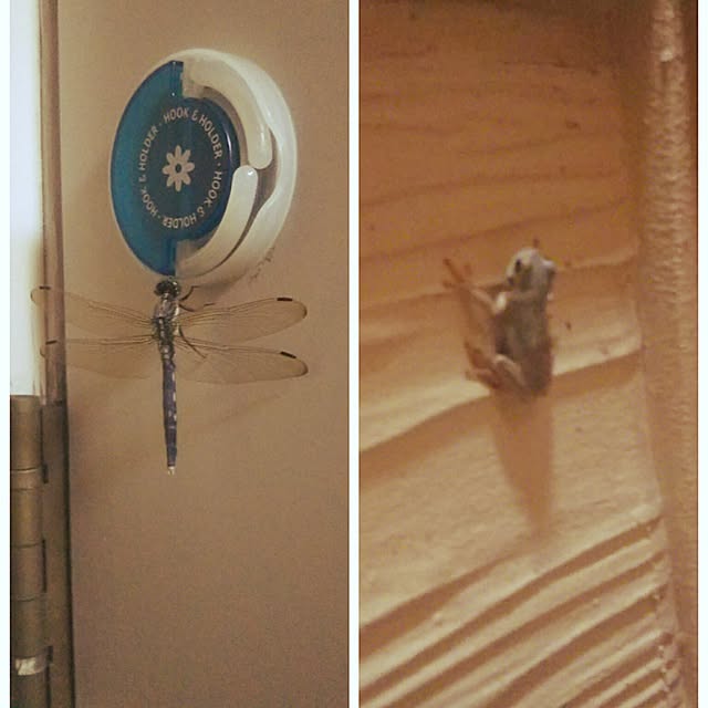 4-3さんの実例写真