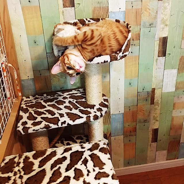 miyamiさんの実例写真
