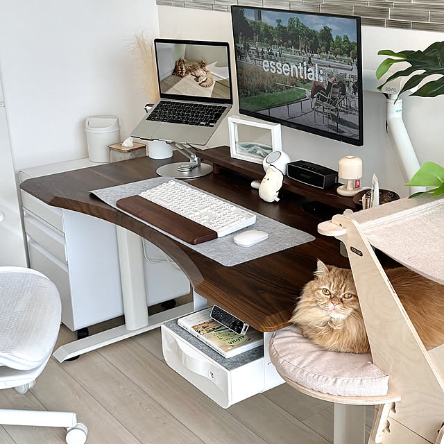 FlexiSpot_JPさんの実例写真