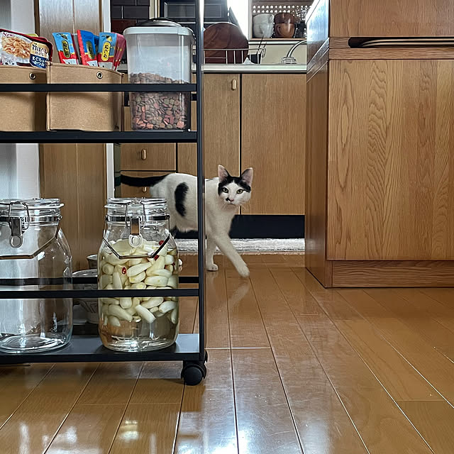 nobikoさんの部屋