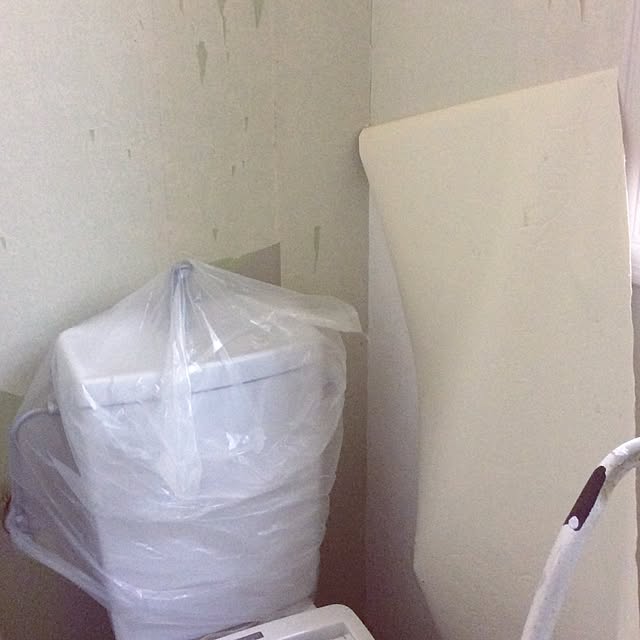 Fumikaさんの実例写真